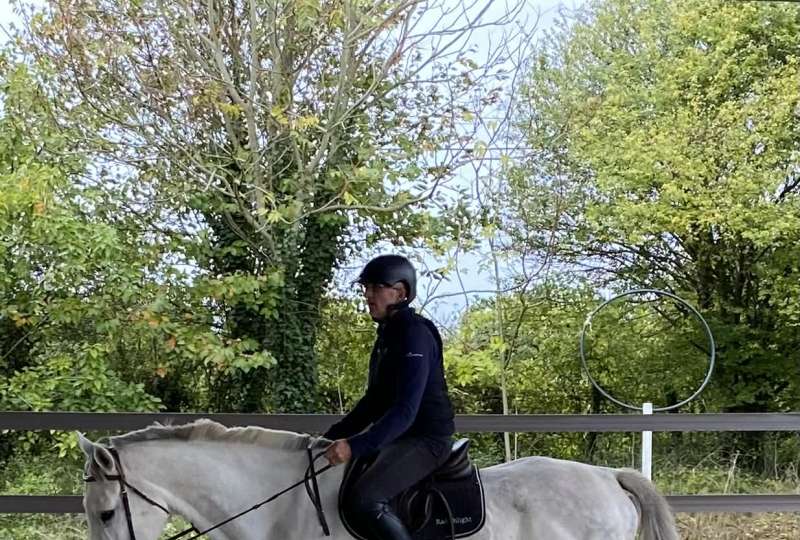 Stage Dressage Biomécanique