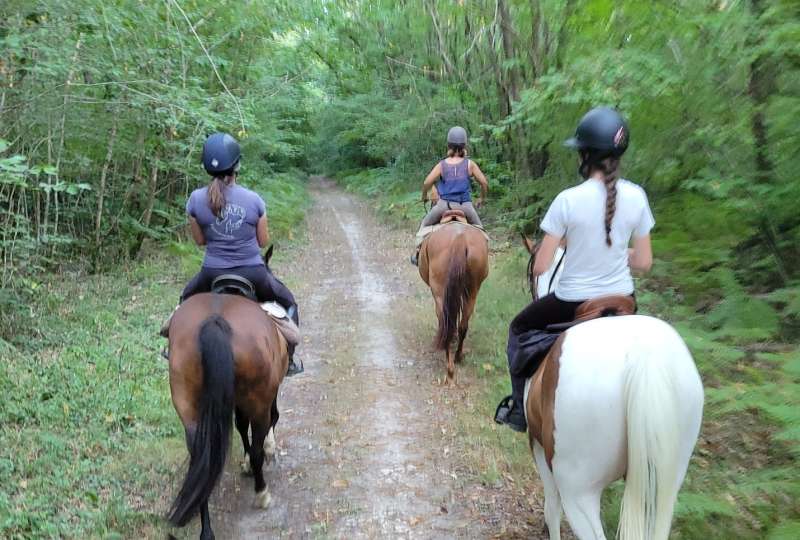 Grande promenade sur la Route de Dartagnan