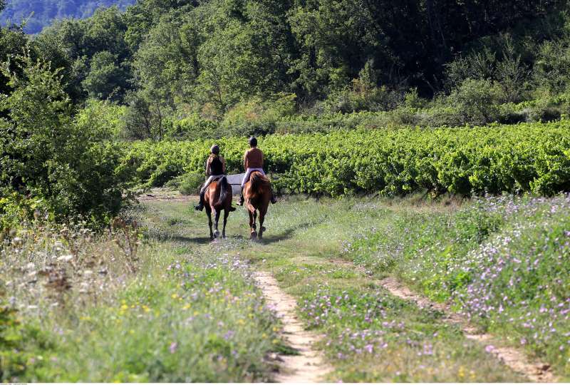 Randonnée d'été dans le Sud yvelines