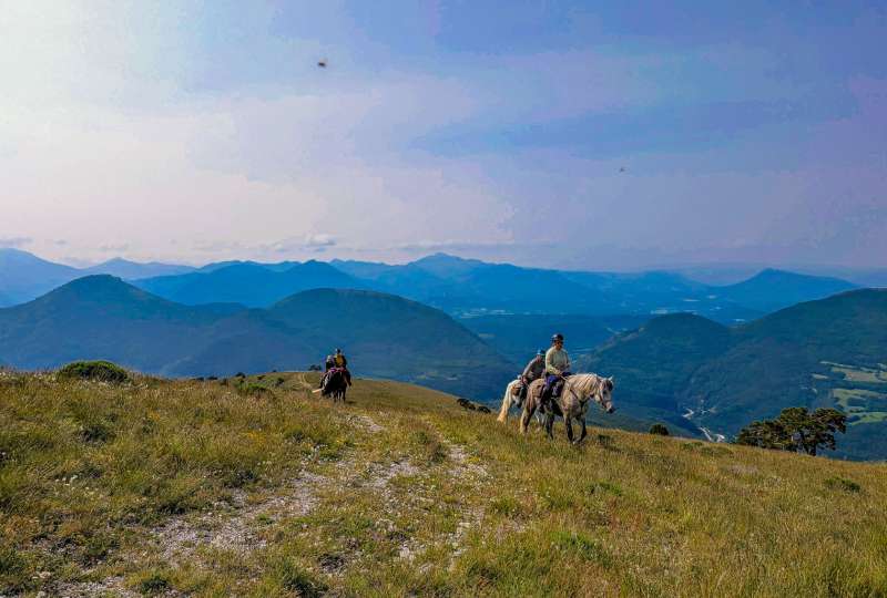 Sortie sportive en forêt avec PsAR