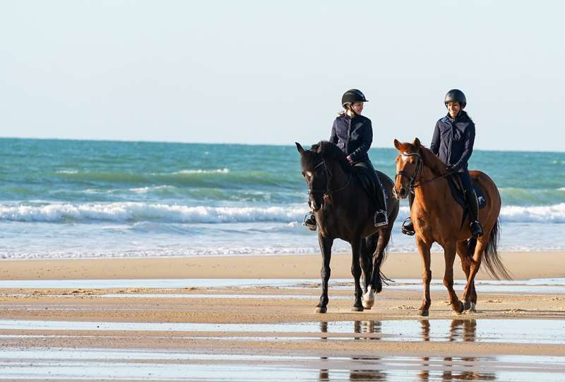 Séjours équestre Printemps 2026 (zone A et B)