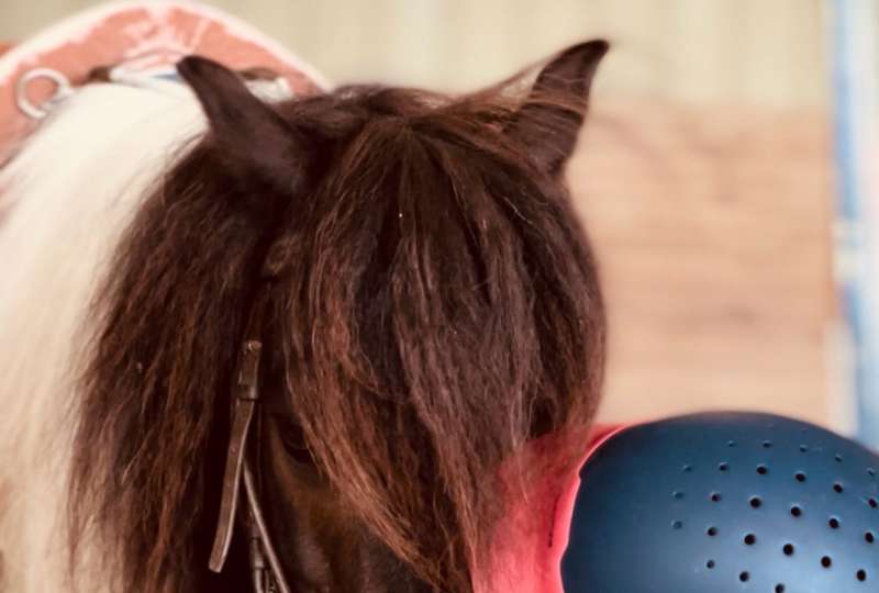 SEJOUR EQUITATION EN BERRY