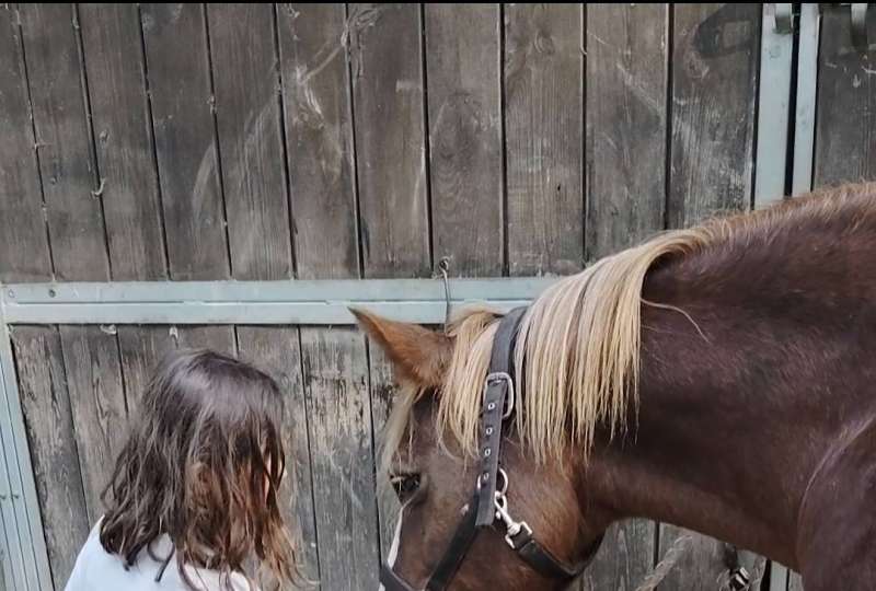 Séjours du 26 au 31 juillet 2026
