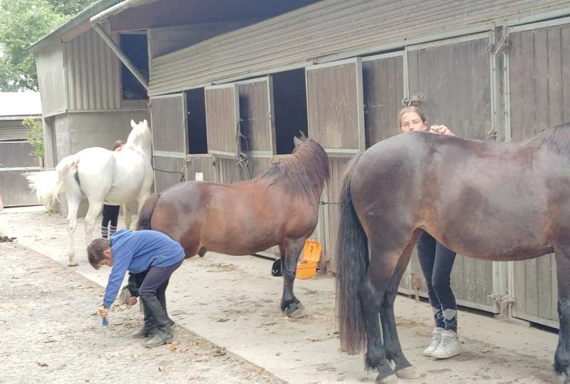 Séjours du 2 au 7 Août 2026