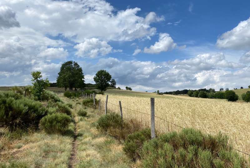 Lozère: à cheval au Point Sublime