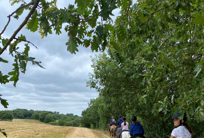 Rando Ado : l’aventure à cheval