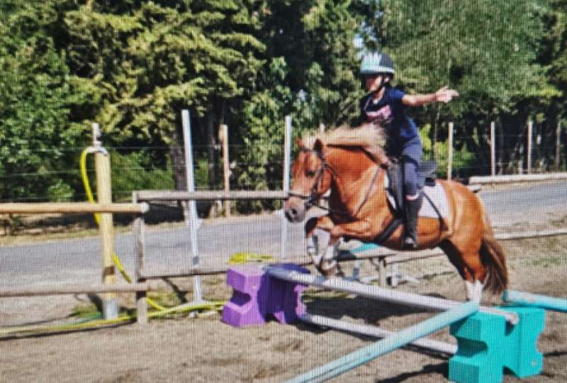 Mini camp Tir à l'Arc à Poney