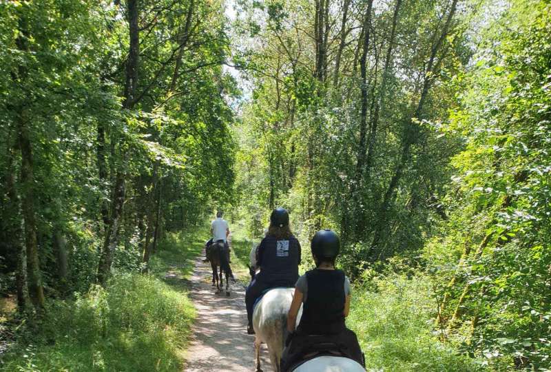 Ferme équestre Vieux FEY