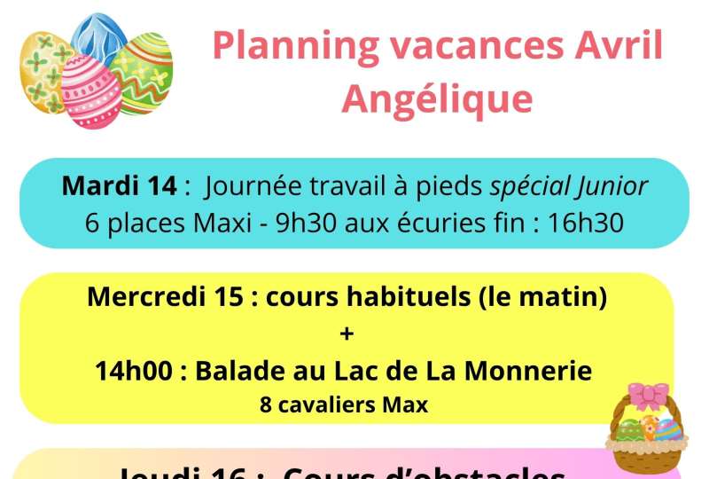 Stage vers le Galop 3 et 4