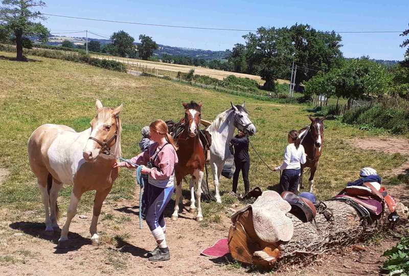 Randonnée Flavin les 3 châteaux et dégustation de Bleu des Causses