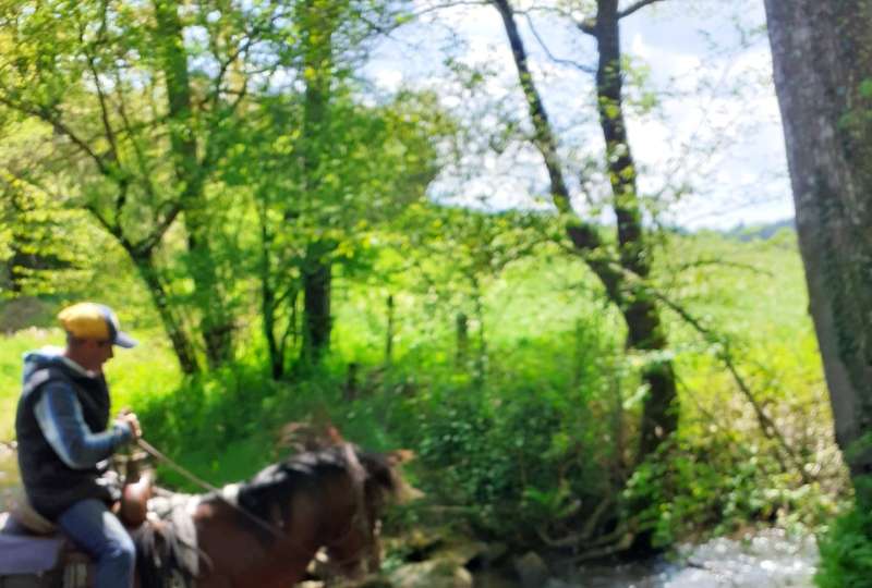 Lévezou 2 jours 1 nuit (chb) tous inclus (copie)