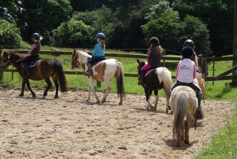 Stage équitation 2 jours Galops 1 et 2 2026