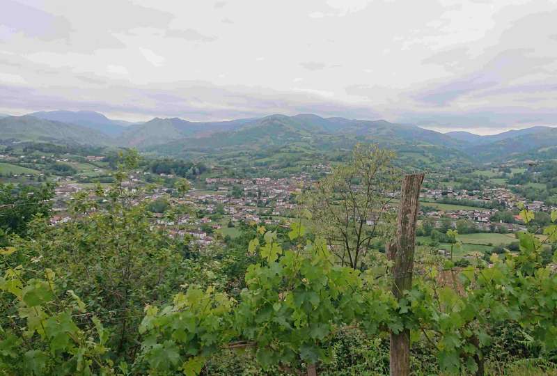 Randonnée thème vigne d'Irouleguy