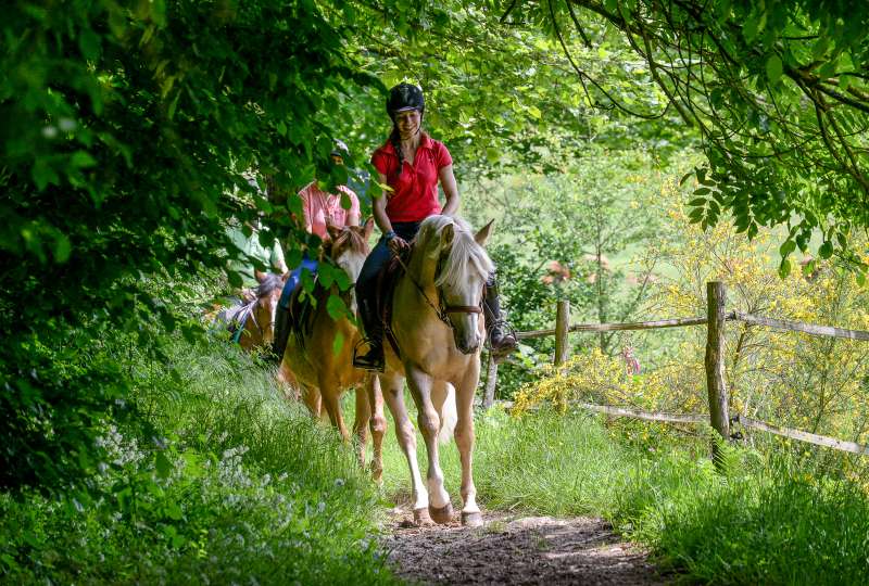 BALADE DANS LE BOCAGE NORMAND 8 MAI 2026