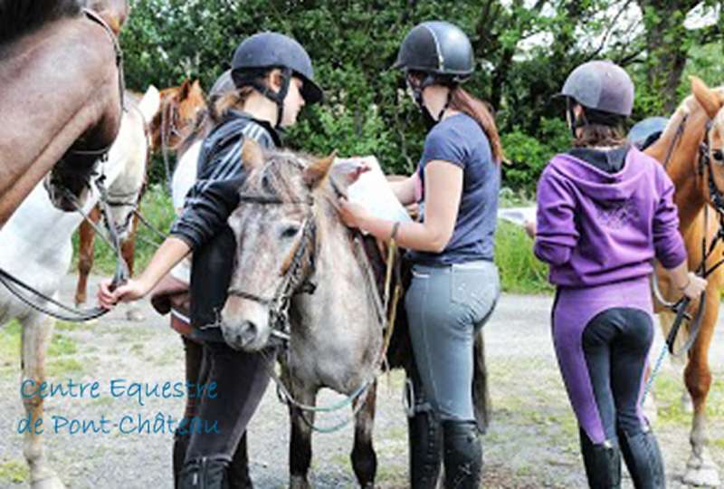 DECOUVRE L'UNIVERS DES PONEYS ET DES CHEVAUX