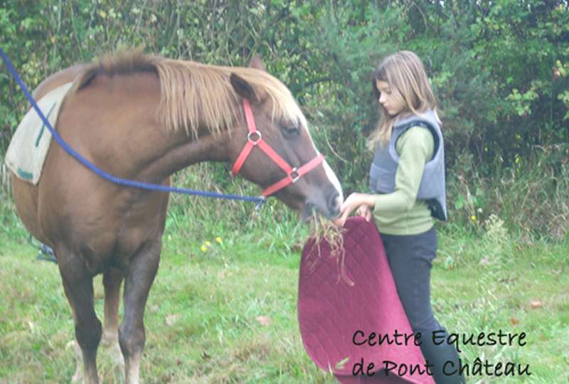 DECOUVRE L'UNIVERS DES PONEYS ET DES CHEVAUX