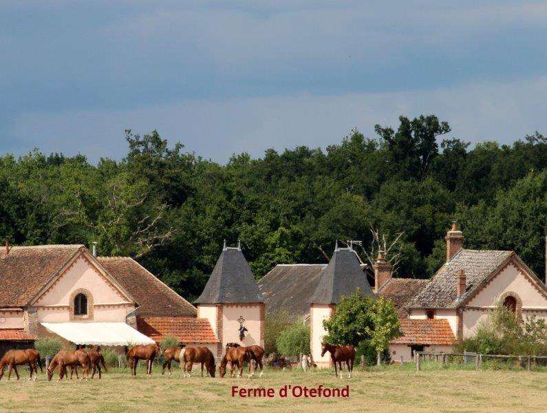 la Sologne a cheval