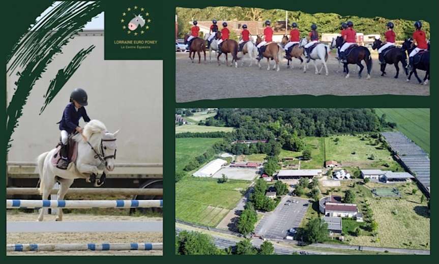 LORRAINE EURO PONEY - ETE 2026 -STAGE SANS HEBERGEMENT PONEY