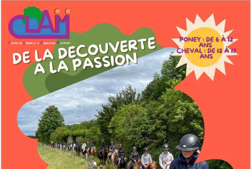 LORRAINE EURO PONEY - ETE 2026 -STAGE SANS HEBERGEMENT PONEY