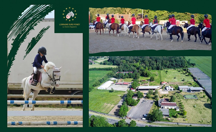 LORRAINE EURO PONEY - ETE 2026 -STAGE SANS HEBERGEMENT PONEY