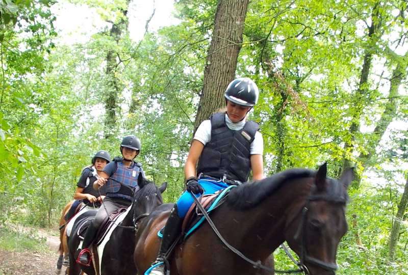 LORRAINE EURO PONEY - ETE 2026 -STAGE SANS HEBERGEMENT CHEVAL