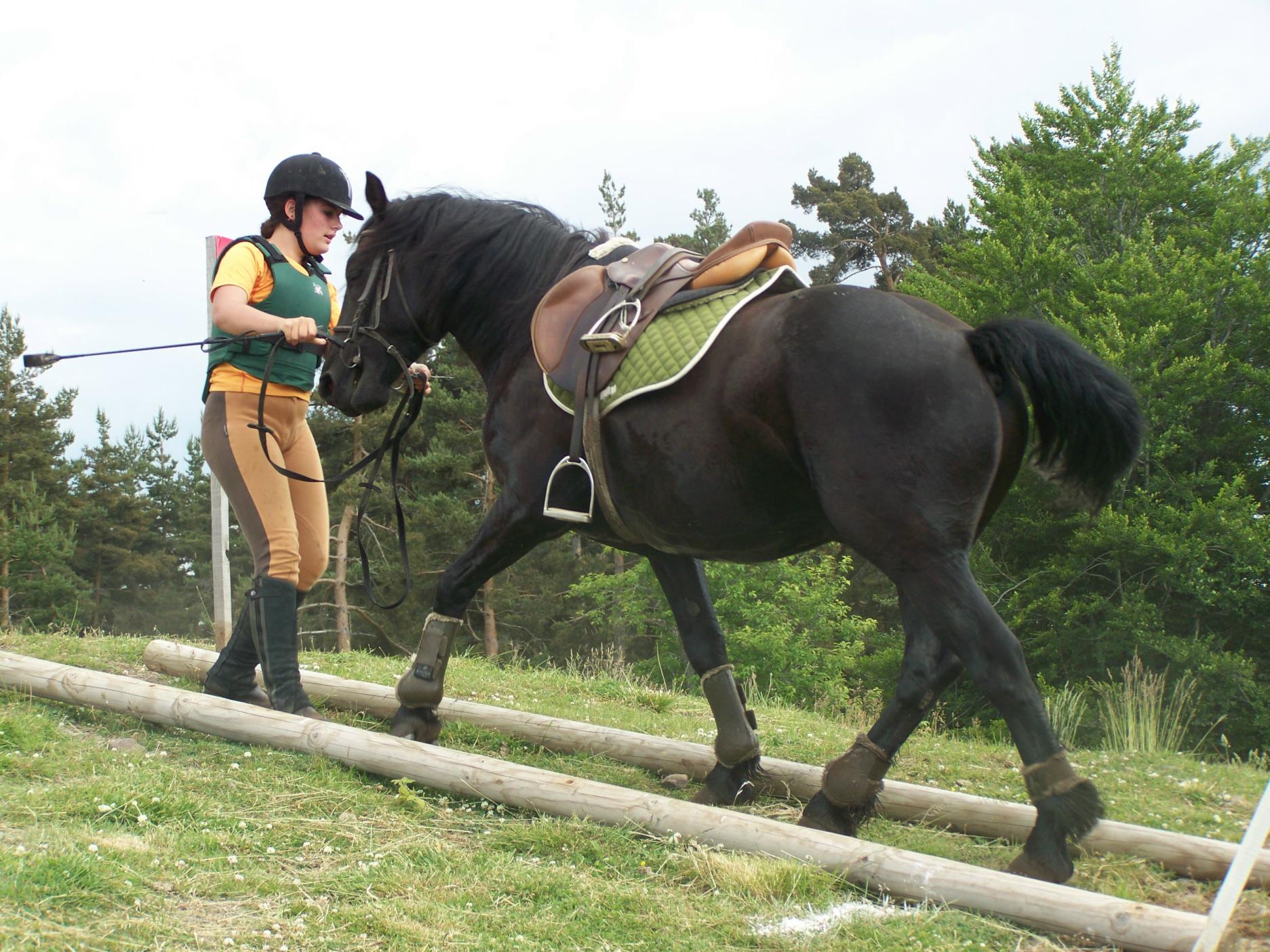 Les disciplines d'équitation d'extérieur