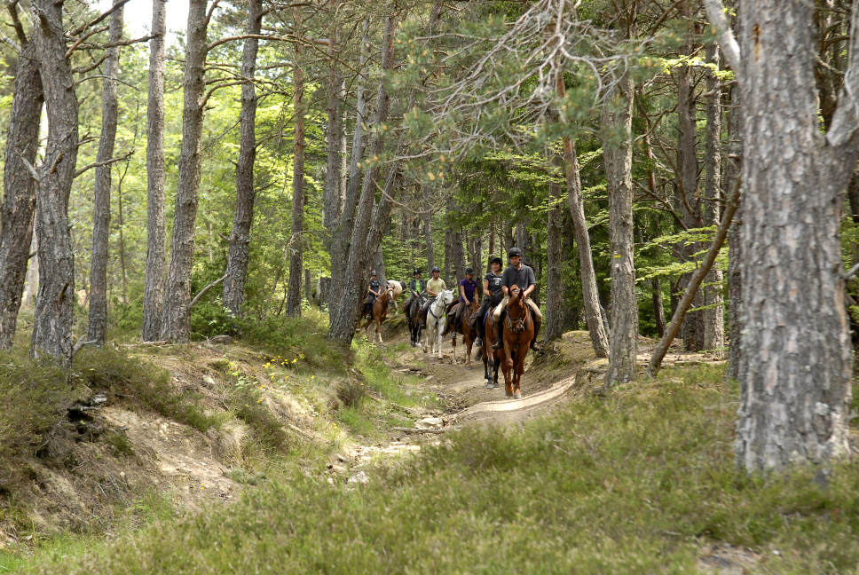 L'accés à la forêt à cheval