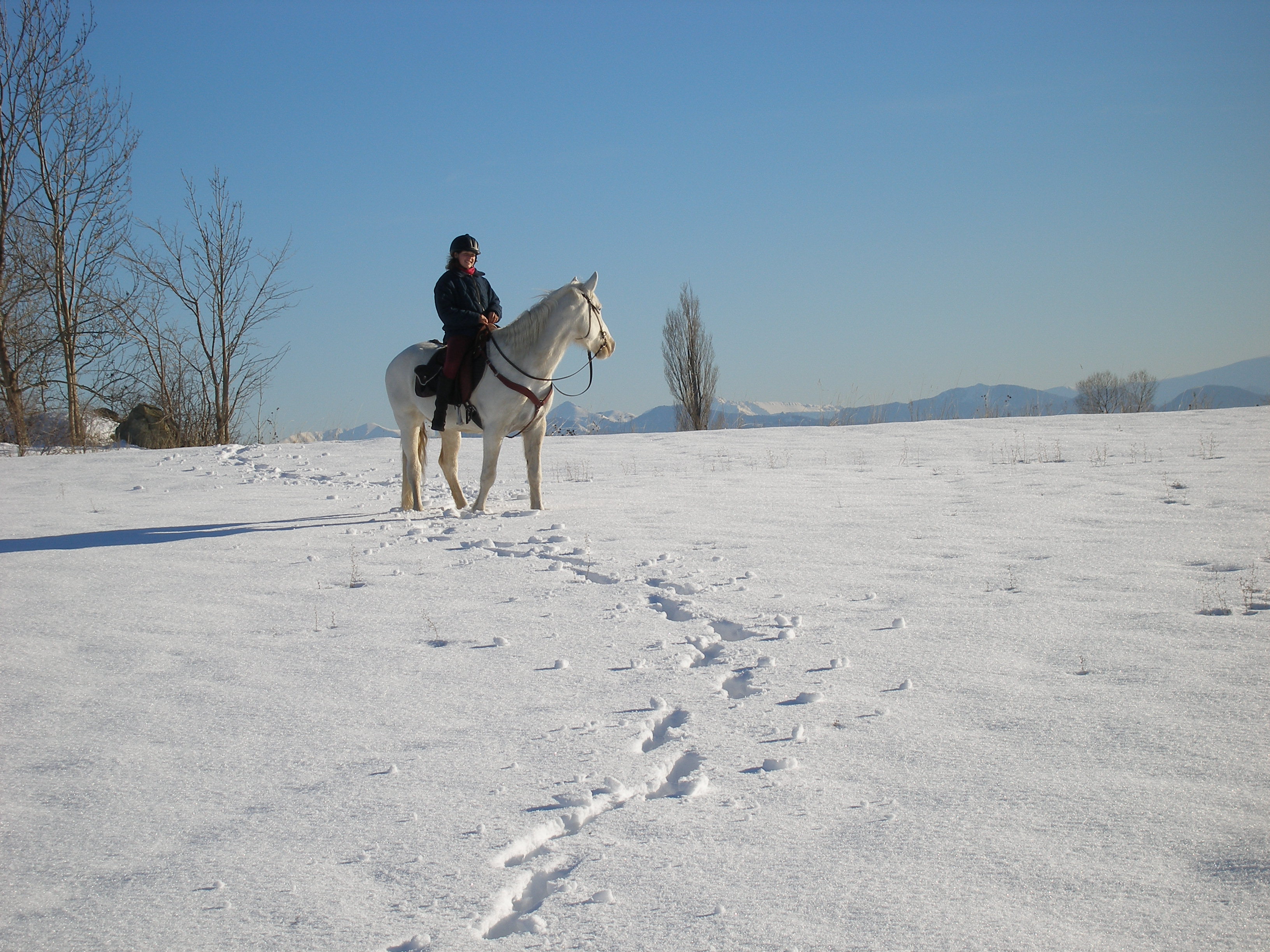 Quelques astuces pour randonner à cheval en hiver